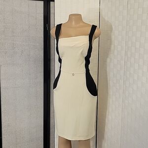 EMMA & MICHELLE SLEEVELESS HIDDEN ZIPPER CLOSURE SHEATH DRESS